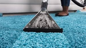 Carpet Deep Cleaning